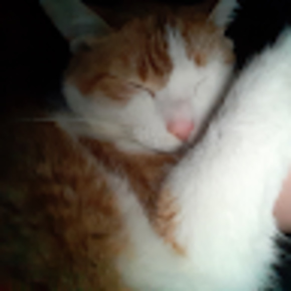 Meet your Posher, Mary - Picture 1 of 1